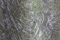 Wilmslow Park fibreglass roof work